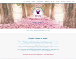 Harmonie des Énergies Roye, Magnétisme