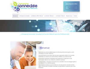 L'ENTREPRISE CONNECTEE Saint-Malo, Agence télécom, Telecom, Consultant