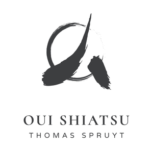 Thomas Spruyt OUI SHIATSU Castelnau-le-Lez, Massage