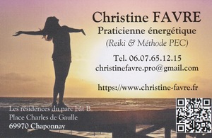 Christine Favre Chaponnay, Energeticien