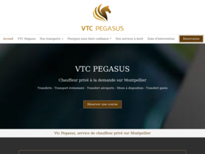 VTC Pegasus Montpellier, Chauffeur livreur, Taxi