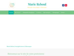 Marie Reboul Saint-Maime, Energeticien