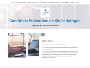 Comité de Prévention en Kinésithérapie Marseille, Association, Kinésithérapeute