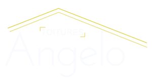 Angelo Toitures Antibes Antibes, Couvreur, Démoussage, traitement des toitures