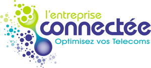 L'entreprise connectée Saint-Malo, Consultant, Téléphone mobile