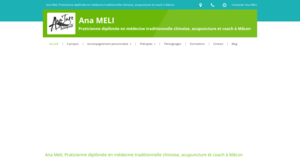 Ana MELI Crêches-sur-Saône, Acupuncteur, Coaching