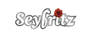 TOURISME ET VOYAGES SEYFRITZ Obernai, Transports touristiques en autocars, Autocars (transports touristiques)