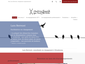 Sasu Lara Berrezel Strasbourg, Coaching
