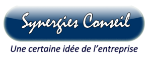 SYNERGIES CONSEIL Versailles, Conseil aux entreprises