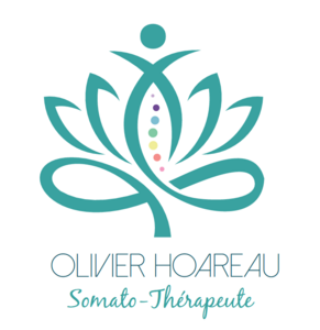 Olivier HOAREAU - Somato Émotionnelle - Gestion des stress et traumas Dangé-Saint-Romain, Professionnel indépendant