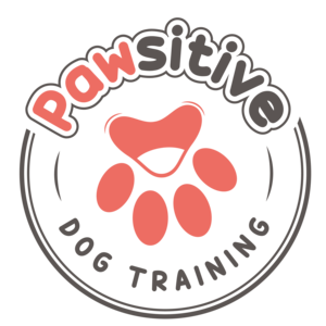 Pawsitive Dog Training Maizières-lès-Metz, Educateur canin, Comportementaliste animalier