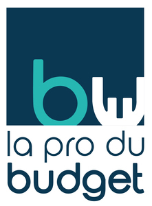 La Pro du Budget - Conseils aux auto-entrepreneurs Tampon, Professionnel indépendant