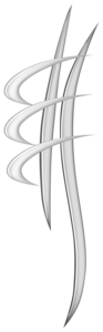 Antoine Moinet Trélazé, Chiropracteur