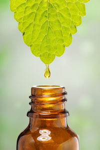 Marion Petipas Argancy, Naturopathe
