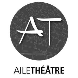 Aile theatre Paris 11, Professionnel indépendant