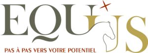 Equ'us Craponne, Formation