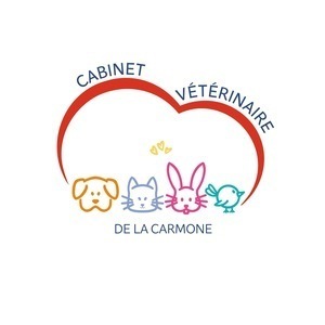 Cabinet Vétérinaire de la Carmone Saint-Pourçain-sur-Sioule, Clinique vétérinaire