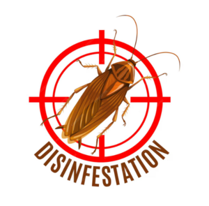 Anti-Nuisibles Loiret Orléans, Professionnel indépendant