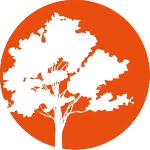 Caroline Wartel Massy, Psychanalyste