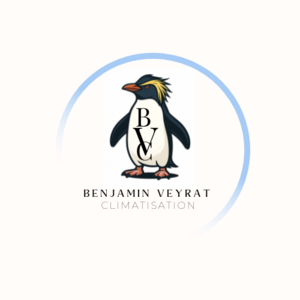 Benjamin Veyrat  Le Plan-de-la-Tour, Professionnel indépendant