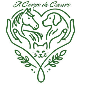 A Corps de Coeurs - Elodie FRICAUD-VICINI La Genête, Professionnel indépendant