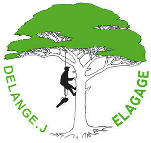 Ent' DELANGE.J Harfleur, Elagage abattage