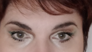 Anglaisenligne Toulouse, Professionnel indépendant