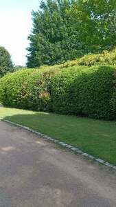 Sicler espaces verts Décines-Charpieu, Jardinier