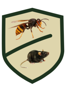 Anti-Nuisible du Sarladais Saint-Vincent-de-Cosse, Dératisation, Désinsectisation