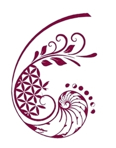 Erell Fougères Ambazac, Energeticien