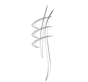 Clotilde Grillot Collard Dijon, Chiropracteur