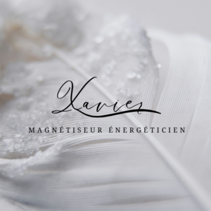 Xavier RICCI Ligné, Magnétisme, Energeticien