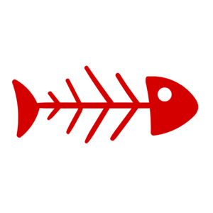 2B Aventure - Antoine BRUGE Pau, Coach sportif, Sport