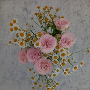 Lunessence Joy Sables-d'Olonne, Professionnel indépendant