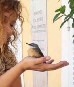 Christine Rocher Le Lavandou, Magnétisme