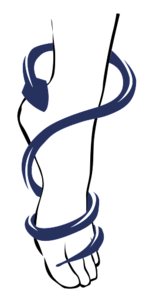 Marion Coisne Quetigny, Professionnel indépendant