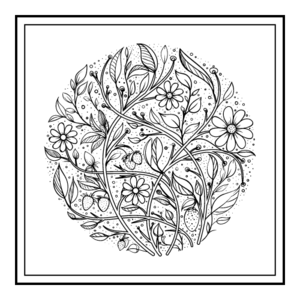 Stéphanie LEBLANC Fécamp, Sophrologue