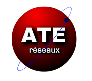 ATE Réseaux Feyzin, Réseaux informatiques