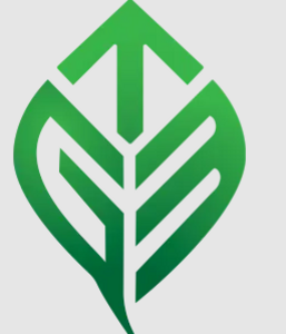 Green Team Energie Nantes, Electricité, Electricien, Electricité auto, Electricité automobile