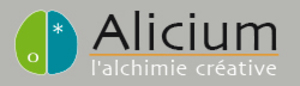 Alicium -Jean-Paul Designolle Tourcoing, Webmaster