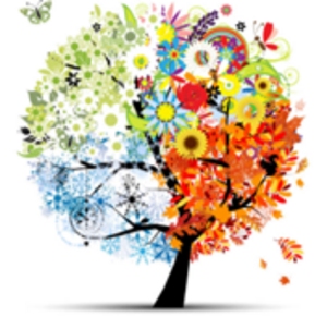 Hélène Pruel Shiatsu - Pacé (35740) Pacé, Shiatsu