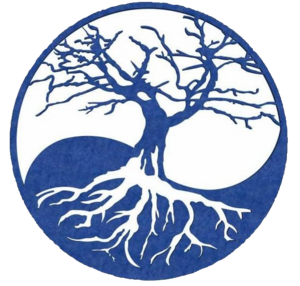 Karine Buray Aubenas, Médecine chinoise, Energeticien