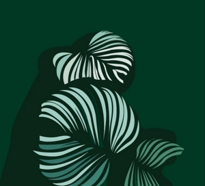 Delphine CARKA Lyon, Psychologue clinicien, Psychothérapeute