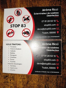 Stop83  Toulon, Désinsectisation