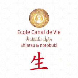 Ecole Canal de Vie Gif-sur-Yvette, Professionnel indépendant