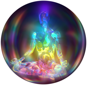 Sandrine Henno  Pibrac, Professionnel indépendant