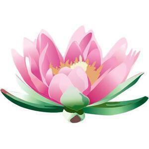 BIEN ÊTRE ET SANTE POUR TOUS - Nicole Abadie Naturopathe Muret, Naturopathe