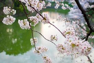 Martine Briault - Kinésiologue Paris 15, Kinésiologue