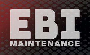 Ebi Maintenance Wittelsheim, Professionnel indépendant