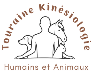 TOURAINE KINESIOLOGIE - Clara MAUDOUX Cussay, Kinésiologue